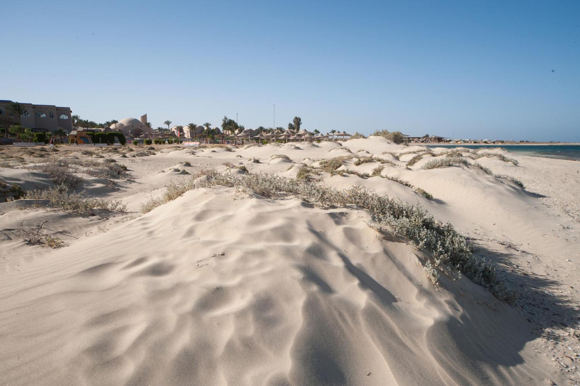 Shams Alam Beach Resort Abū Ghuşūn エクステリア 写真