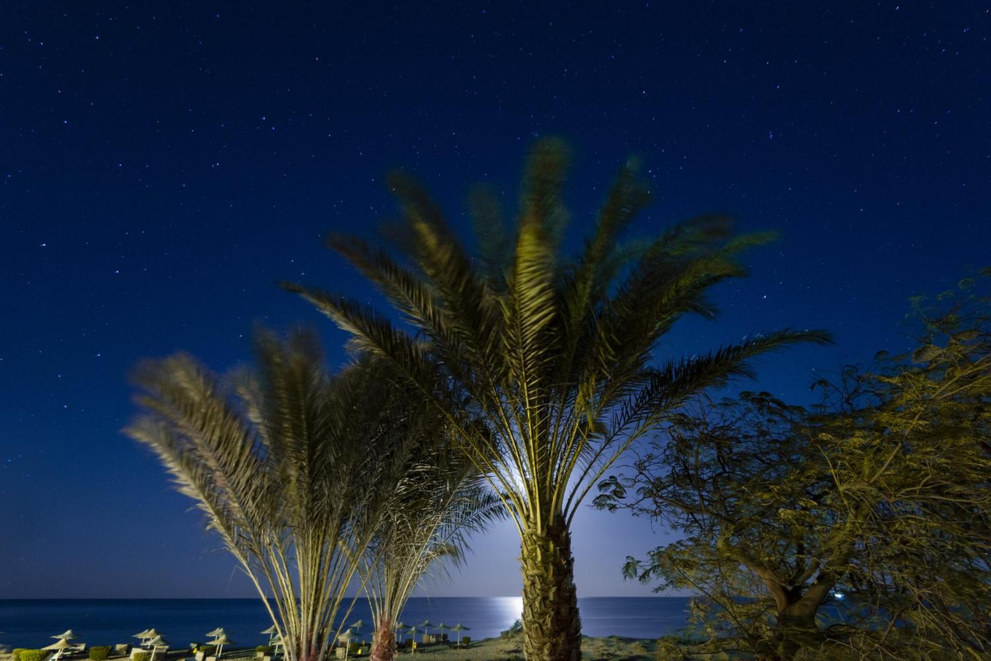 Shams Alam Beach Resort Abū Ghuşūn エクステリア 写真